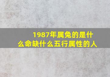 1987年属兔的是什么命缺什么五行属性的人