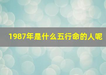 1987年是什么五行命的人呢