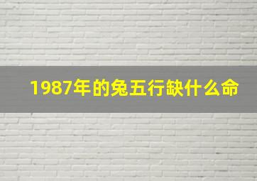 1987年的兔五行缺什么命