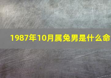 1987年10月属兔男是什么命