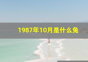 1987年10月是什么兔