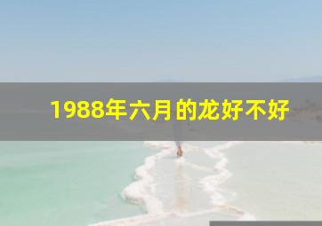 1988年六月的龙好不好