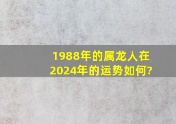 1988年的属龙人在2024年的运势如何?