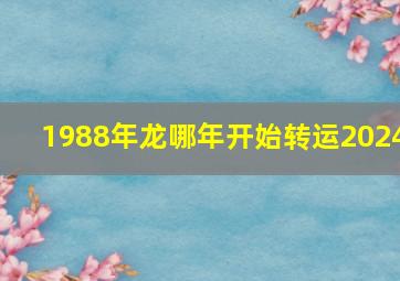 1988年龙哪年开始转运2024