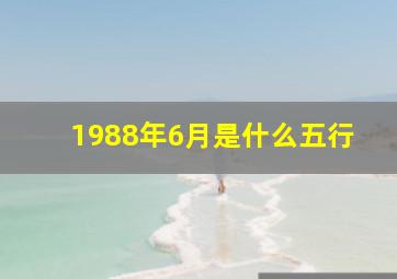 1988年6月是什么五行