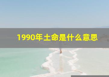 1990年土命是什么意思