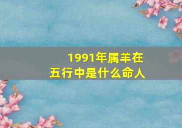 1991年属羊在五行中是什么命人