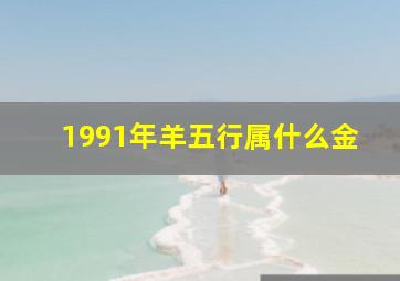 1991年羊五行属什么金