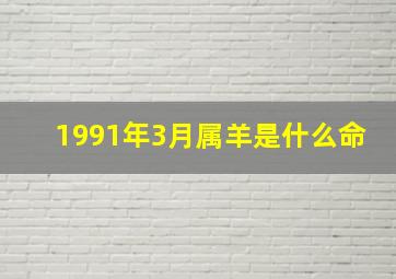 1991年3月属羊是什么命