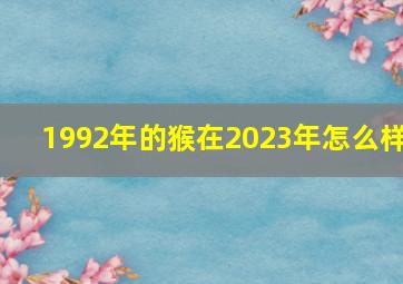 1992年的猴在2023年怎么样