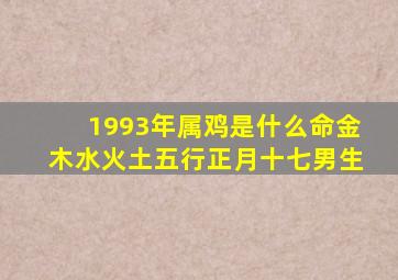 1993年属鸡是什么命金木水火土五行正月十七男生