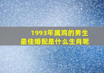 1993年属鸡的男生最佳婚配是什么生肖呢