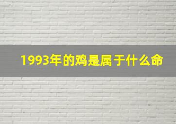 1993年的鸡是属于什么命