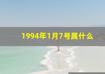 1994年1月7号属什么