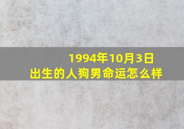 1994年10月3日出生的人狗男命运怎么样