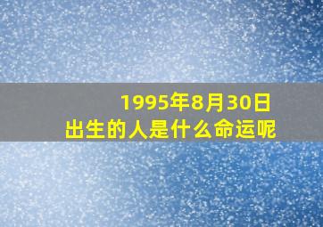 1995年8月30日出生的人是什么命运呢