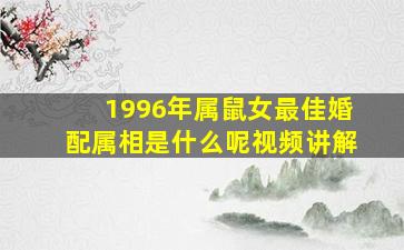 1996年属鼠女最佳婚配属相是什么呢视频讲解