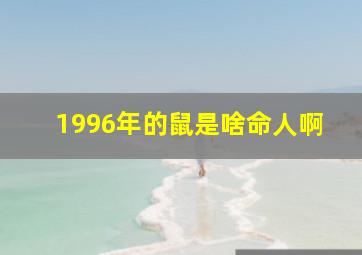 1996年的鼠是啥命人啊