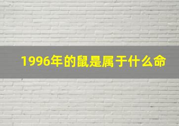 1996年的鼠是属于什么命