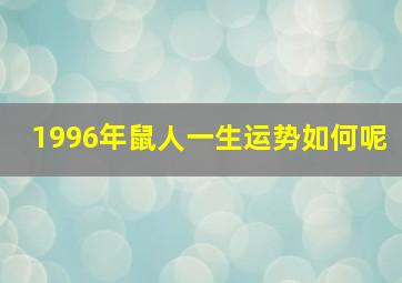 1996年鼠人一生运势如何呢