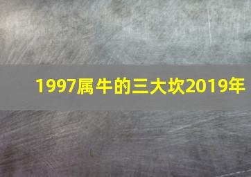 1997属牛的三大坎2019年