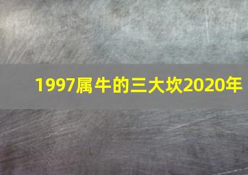 1997属牛的三大坎2020年