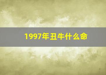 1997年丑牛什么命