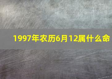 1997年农历6月12属什么命