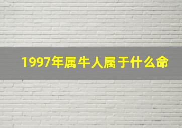 1997年属牛人属于什么命