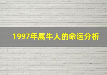 1997年属牛人的命运分析