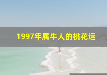 1997年属牛人的桃花运