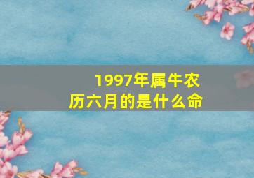 1997年属牛农历六月的是什么命