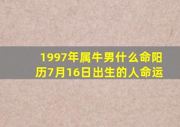 1997年属牛男什么命阳历7月16日出生的人命运