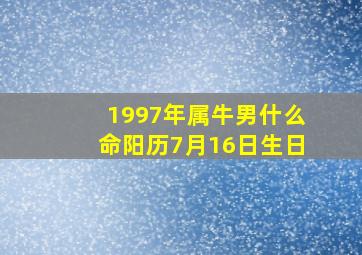 1997年属牛男什么命阳历7月16日生日