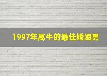 1997年属牛的最佳婚姻男