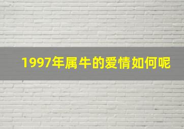 1997年属牛的爱情如何呢