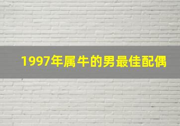 1997年属牛的男最佳配偶