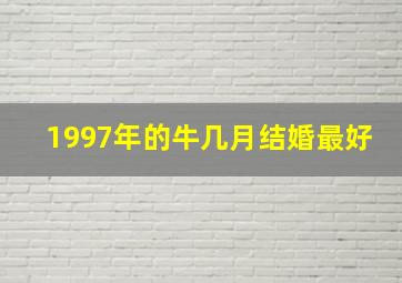 1997年的牛几月结婚最好