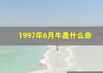 1997年6月牛是什么命