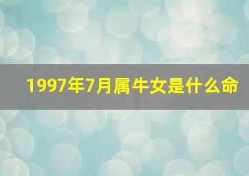 1997年7月属牛女是什么命