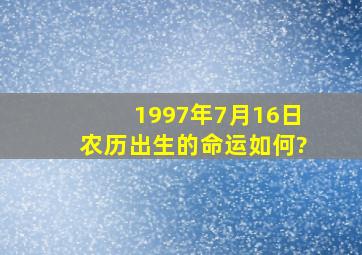 1997年7月16日农历出生的命运如何?