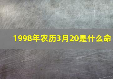 1998年农历3月20是什么命