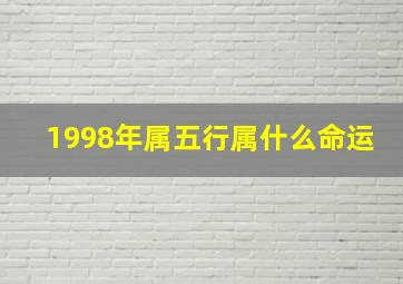 1998年属五行属什么命运