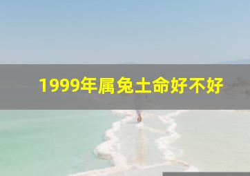 1999年属兔土命好不好