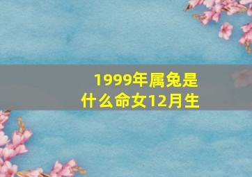 1999年属兔是什么命女12月生