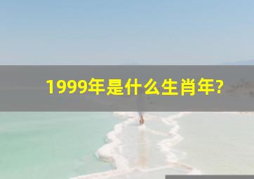 1999年是什么生肖年?