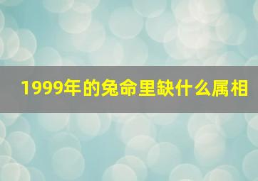 1999年的兔命里缺什么属相