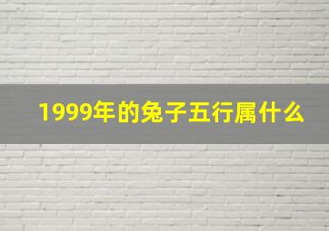 1999年的兔子五行属什么