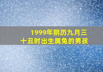 1999年阴历九月三十丑时出生属兔的男孩