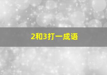 2和3打一成语